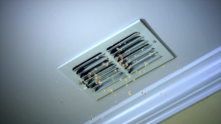 Best Residential Air Duct Cleaning  in Webster, TX