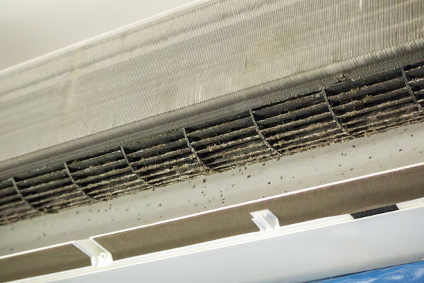 Best Affordable Air Duct Cleaning  in Webster, TX